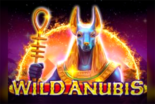 Wild Anubis
