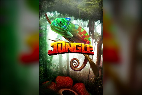 Jungle
